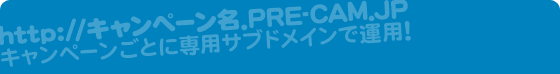 http://キャンペーン名.PRE-CAM.JP　キャンペーンごとに専用サブドメインで運用
