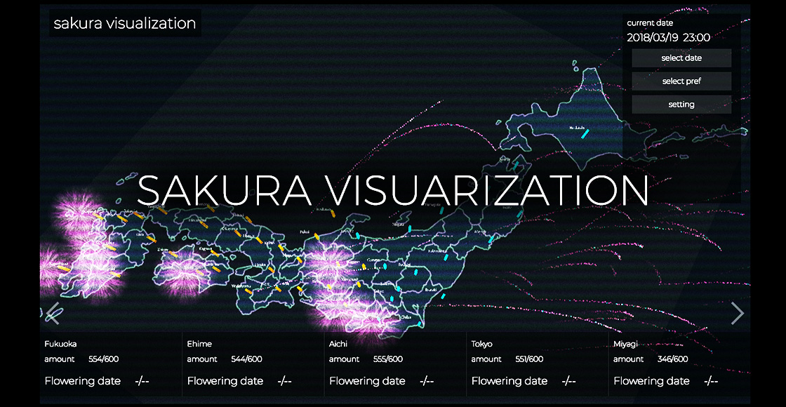 SAKURA VISUALIZATION